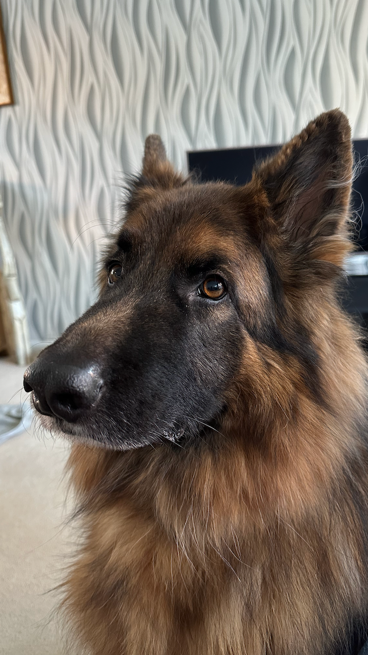 Jake